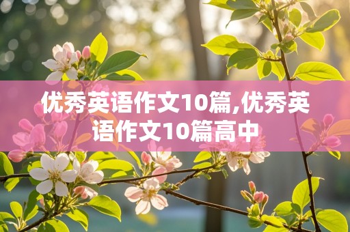 优秀英语作文10篇,优秀英语作文10篇高中