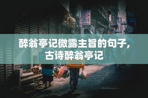 醉翁亭记微露主旨的句子,古诗醉翁亭记