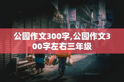 公园作文300字,公园作文300字左右三年级