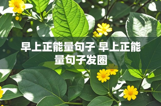 早上正能量句子 早上正能量句子发圈