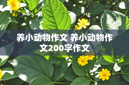 养小动物作文 养小动物作文200字作文