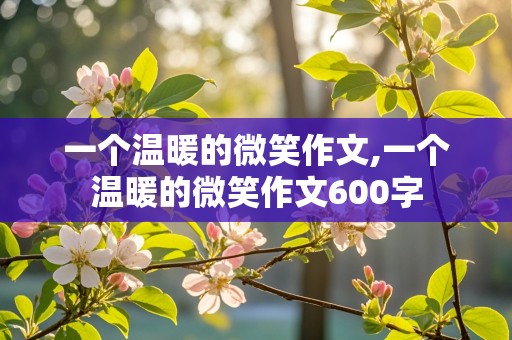 一个温暖的微笑作文,一个温暖的微笑作文600字