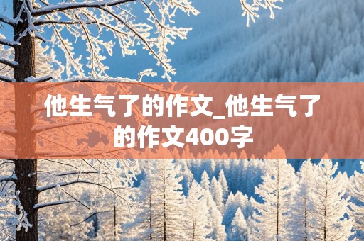 他生气了的作文_他生气了的作文400字