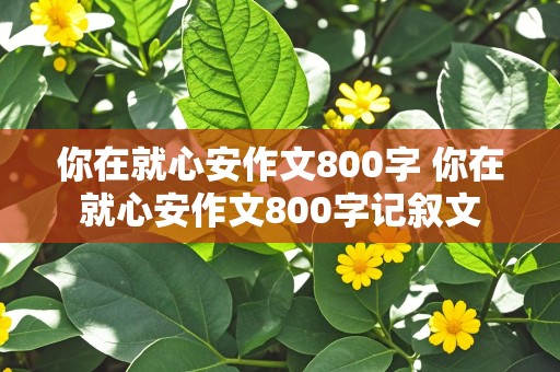 你在就心安作文800字 你在就心安作文800字记叙文