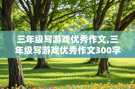 三年级写游戏优秀作文,三年级写游戏优秀作文300字