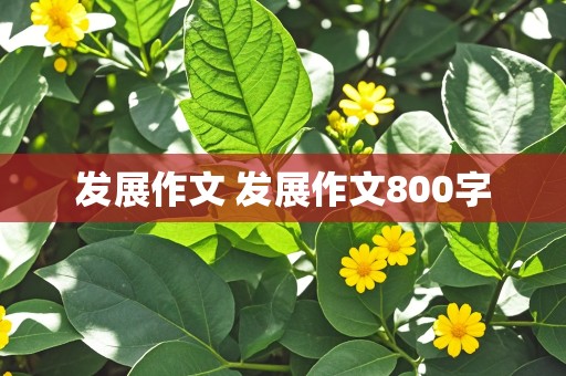 发展作文 发展作文800字