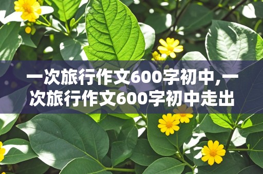 一次旅行作文600字初中,一次旅行作文600字初中走出校园