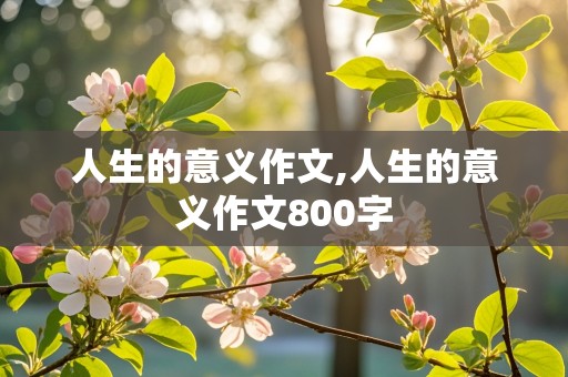 人生的意义作文,人生的意义作文800字