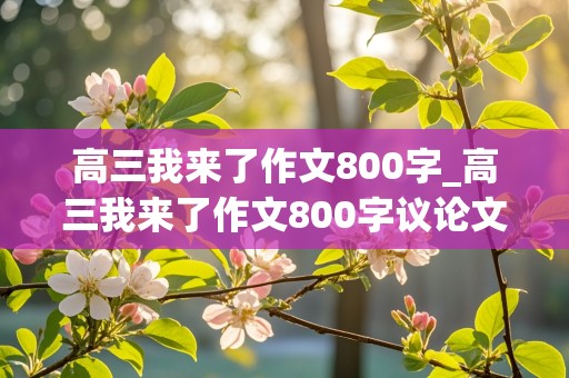 高三我来了作文800字_高三我来了作文800字议论文