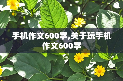 手机作文600字,关于玩手机作文600字