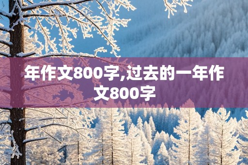 年作文800字,过去的一年作文800字