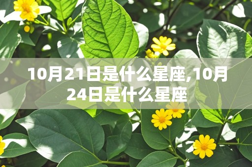 10月21日是什么星座,10月24日是什么星座