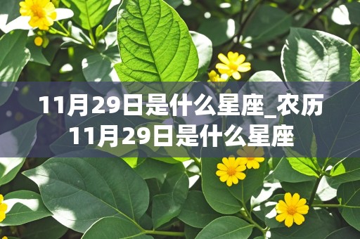 11月29日是什么星座_农历11月29日是什么星座