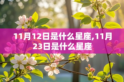 11月12日是什么星座,11月23日是什么星座