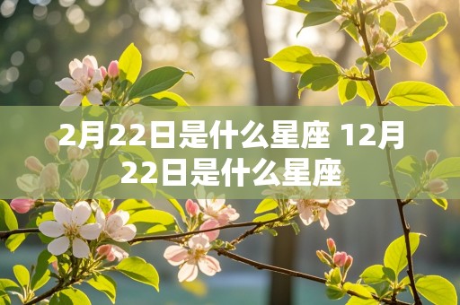 2月22日是什么星座 12月22日是什么星座