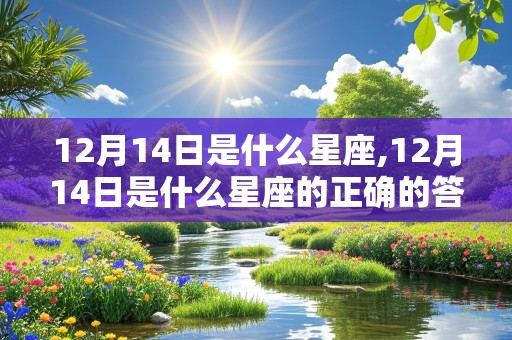 12月14日是什么星座,12月14日是什么星座的正确的答案