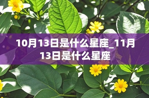 10月13日是什么星座_11月13日是什么星座