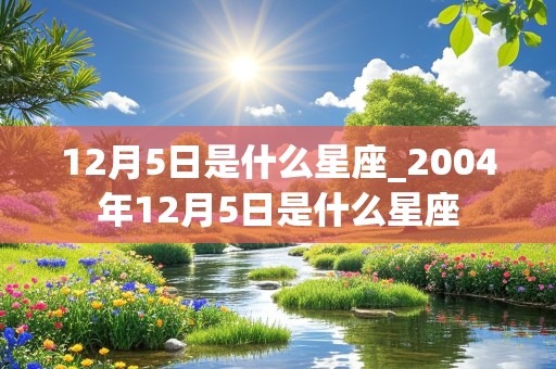 12月5日是什么星座_2004年12月5日是什么星座