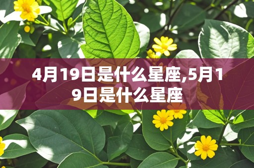 4月19日是什么星座,5月19日是什么星座