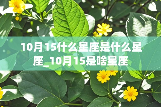 10月15什么星座是什么星座_10月15是啥星座