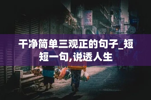 干净简单三观正的句子_短短一句,说透人生