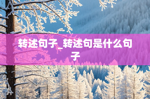 转述句子_转述句是什么句子