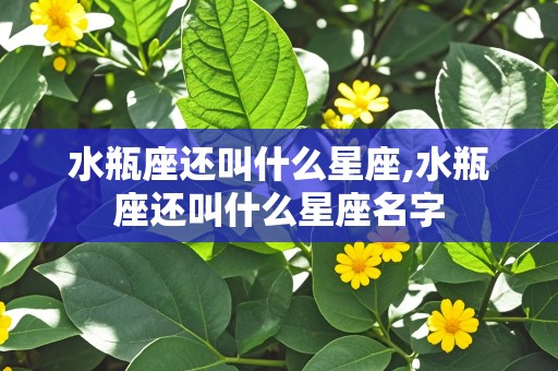 水瓶座还叫什么星座,水瓶座还叫什么星座名字