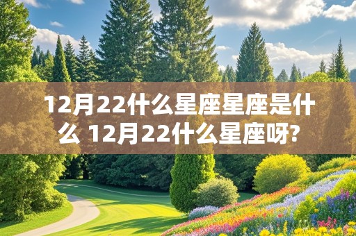 12月22什么星座星座是什么 12月22什么星座呀?