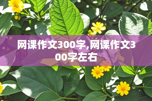 网课作文300字,网课作文300字左右