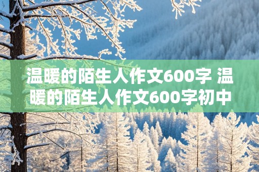 温暖的陌生人作文600字 温暖的陌生人作文600字初中