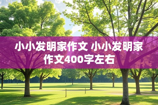 小小发明家作文 小小发明家作文400字左右