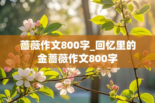 蔷薇作文800字_回忆里的金蔷薇作文800字