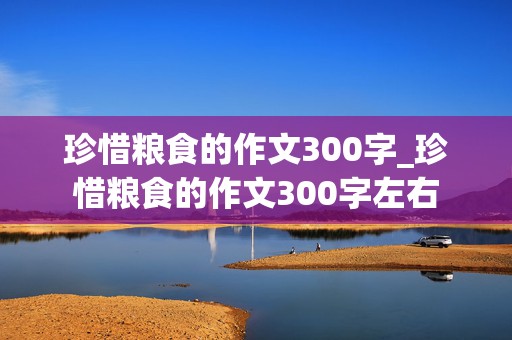 珍惜粮食的作文300字_珍惜粮食的作文300字左右