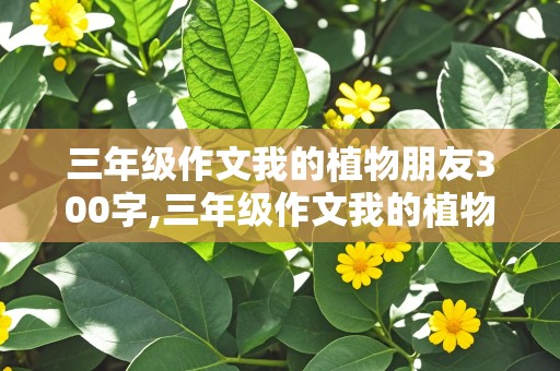 三年级作文我的植物朋友300字,三年级作文我的植物朋友300字左右