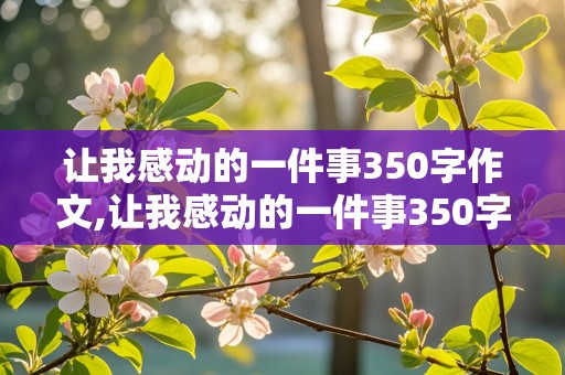 让我感动的一件事350字作文,让我感动的一件事350字作文怎么写