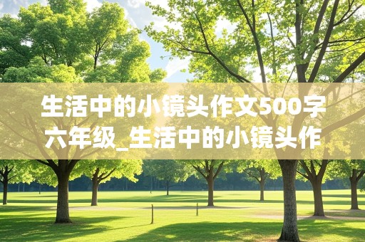 生活中的小镜头作文500字六年级_生活中的小镜头作文500字六年级家乡