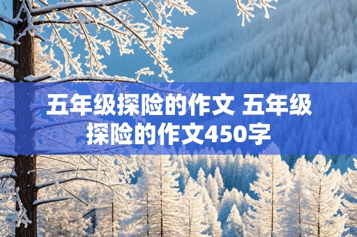 五年级探险的作文 五年级探险的作文450字