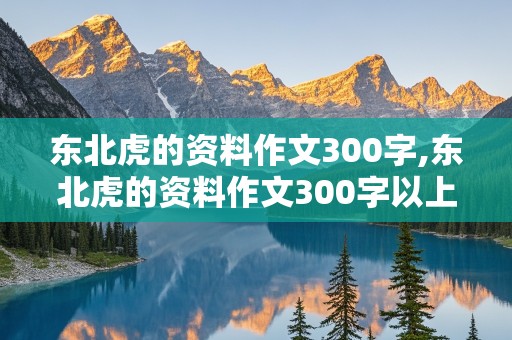 东北虎的资料作文300字,东北虎的资料作文300字以上