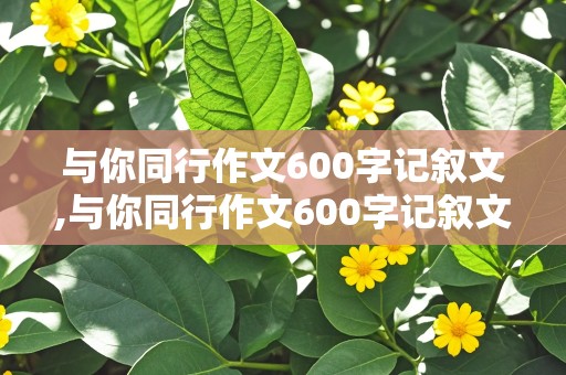 与你同行作文600字记叙文,与你同行作文600字记叙文初中