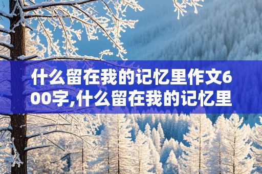 什么留在我的记忆里作文600字,什么留在我的记忆里作文600字左右