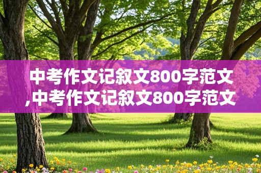 中考作文记叙文800字范文,中考作文记叙文800字范文加题目