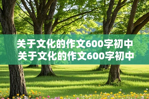 关于文化的作文600字初中 关于文化的作文600字初中作文