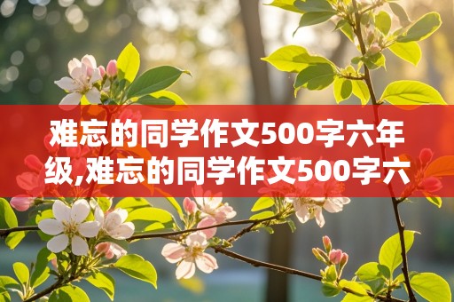 难忘的同学作文500字六年级,难忘的同学作文500字六年级女