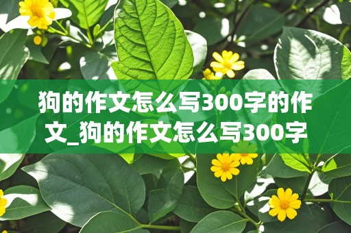 狗的作文怎么写300字的作文_狗的作文怎么写300字的作文三年级