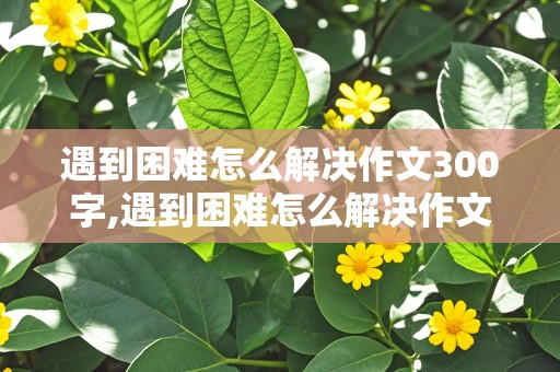 遇到困难怎么解决作文300字,遇到困难怎么解决作文300字