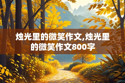 烛光里的微笑作文,烛光里的微笑作文800字