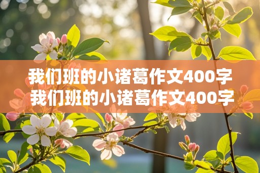 我们班的小诸葛作文400字 我们班的小诸葛作文400字左右