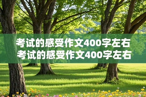 考试的感受作文400字左右 考试的感受作文400字左右初中生