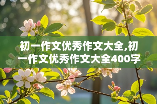 初一作文优秀作文大全,初一作文优秀作文大全400字