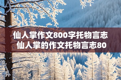 仙人掌作文800字托物言志 仙人掌的作文托物言志800